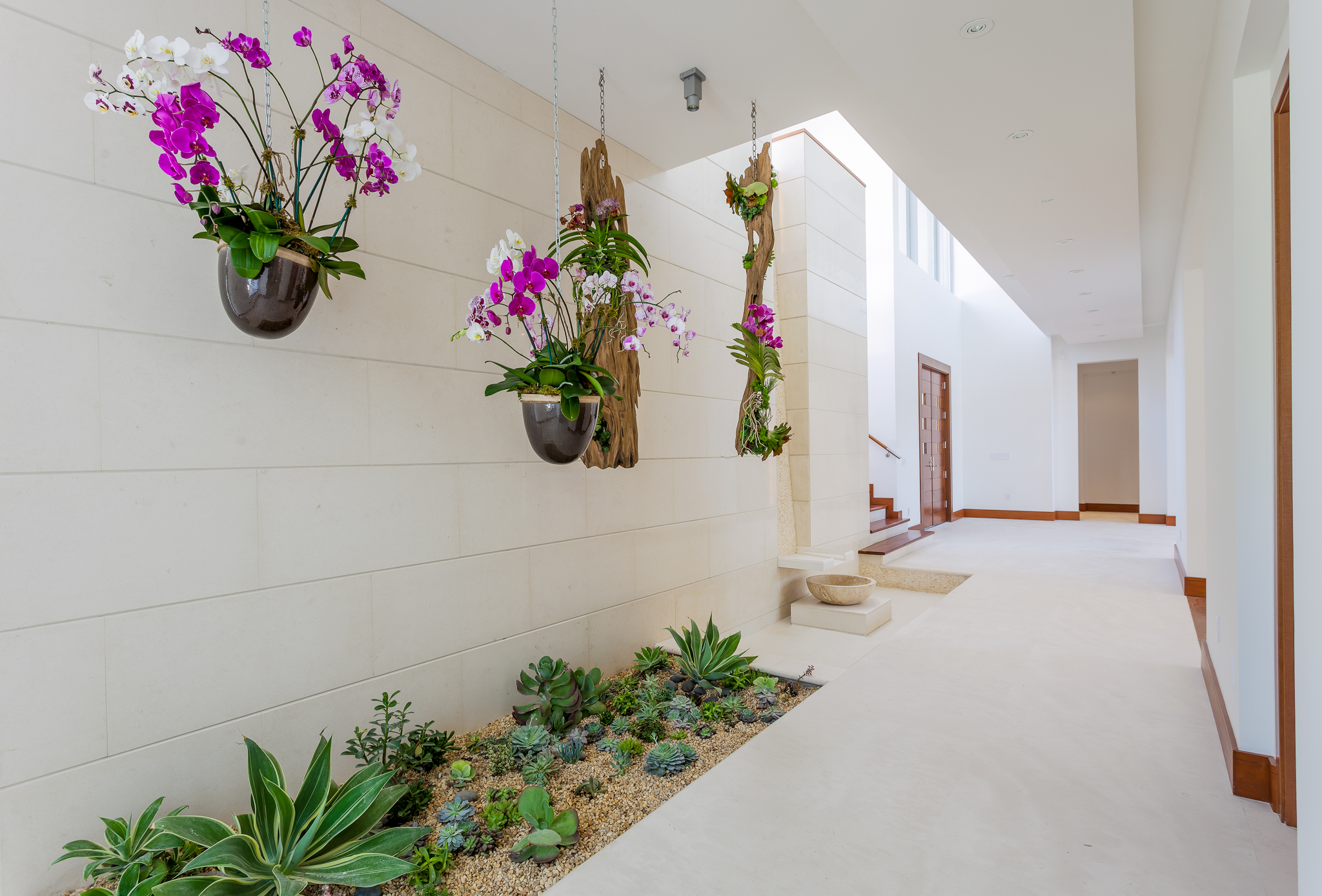 Цветущие растения в коридоре